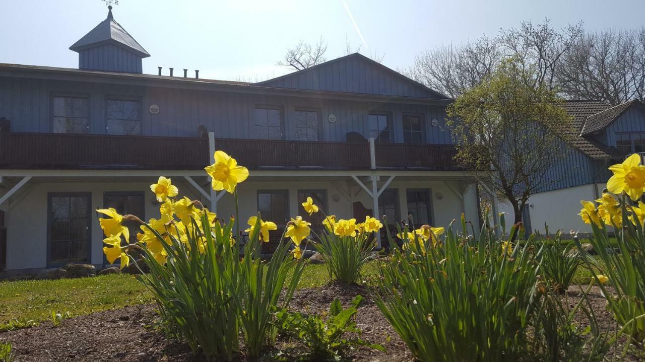Ferienwohnung Finja In Putgarten, Kap Arkona Ruegen מראה חיצוני תמונה